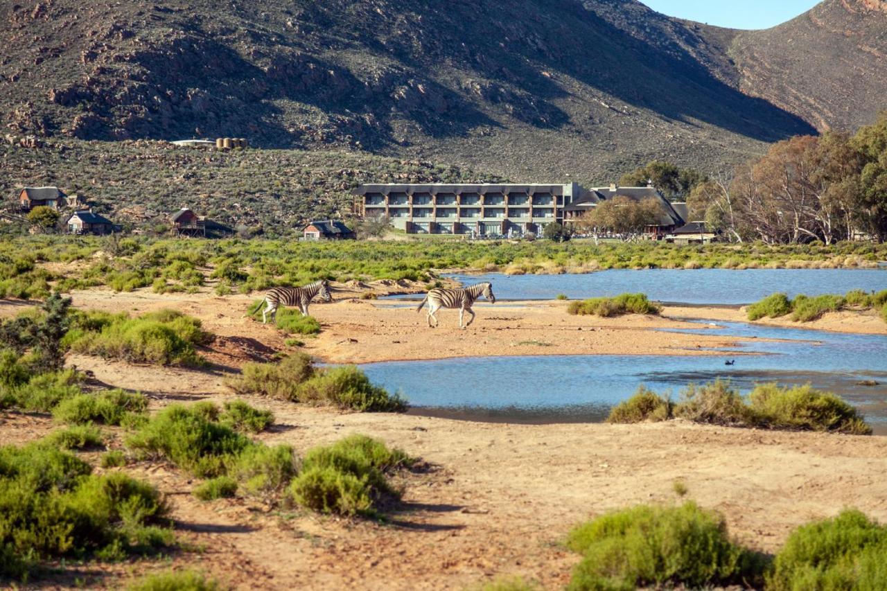 Alojamento de Turismo Selvagem Aquila Private Game Reserve &